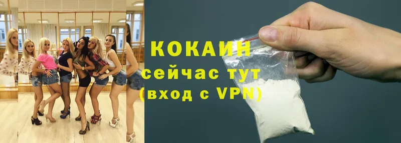 COCAIN Fish Scale  как найти закладки  Воткинск 